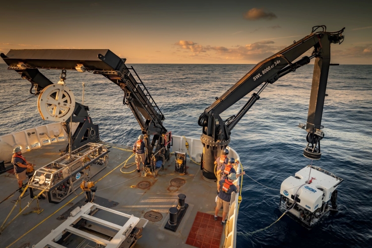 A team of onboard engineers launching remotely operated vehicle Deep Discoverer from the research vessel Okeanos Explorer.  Credit: NOAA Ocean Exploration