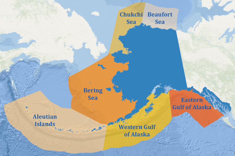 A map showing the six ecologically important regions of Alaska: the Beaufort Sea, the Chukchi Sea, the Bering Sea, the Aleutian Islands, the western Gulf of Alaska, and the eastern Gulf of Alaska. Credit: NOAA Fisheries