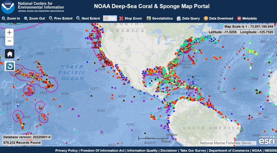 A screenshot of the deep-sea coral data portal. Credit: NOAA Fisheries