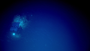 Remotely operated vehicle Deep Discoverer traversing the seafloor in the Southeast U.S. Credit: NOAA Ocean Exploration 