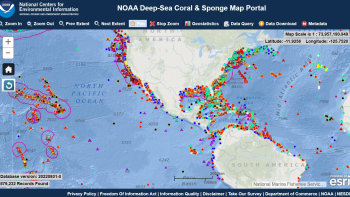 A screenshot of the Deep Sea Coral Research and Technology Program data map